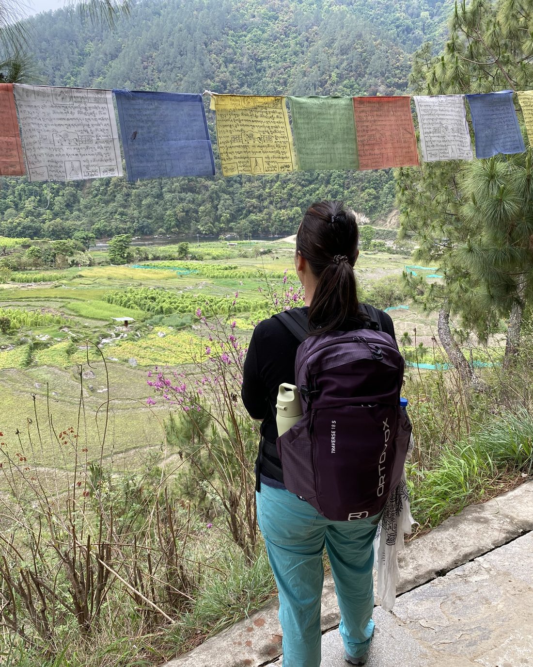 La vallée bhoutanaise et ses rizières