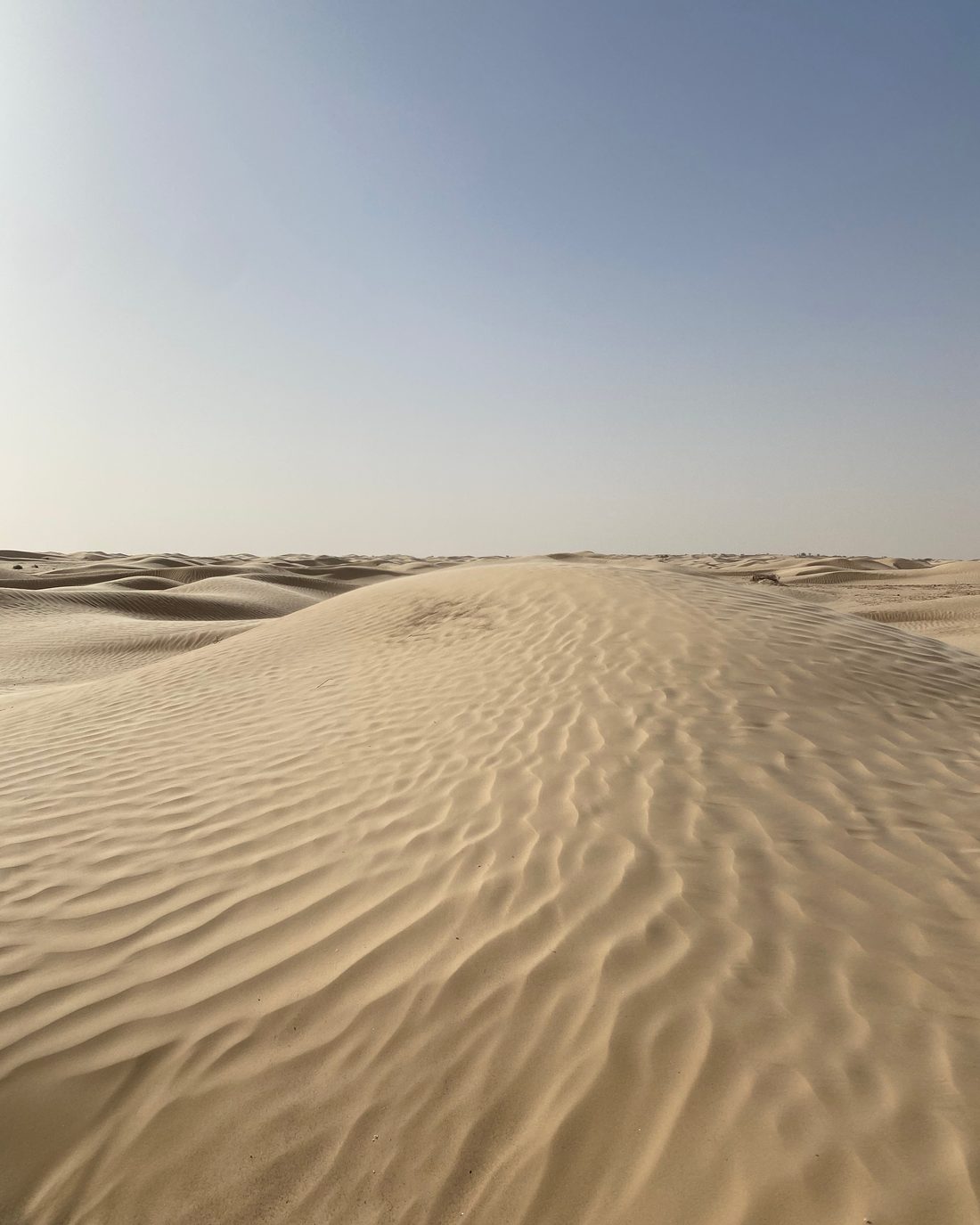 Les dunes du Sahara